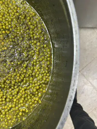 תבשיל אפונה עדינה