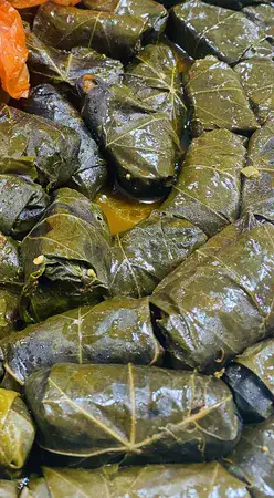 עלי גפן צמחוני